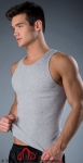 Whittall & Shon Solid Tank Grey