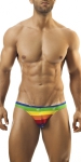 Joe Snyder Bikini Rainbow