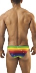 Joe Snyder Bikini Rainbow