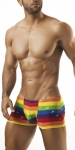 Joe Snyder Boxer Rainbow