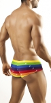 Joe Snyder Bulge Boxer Rainbow